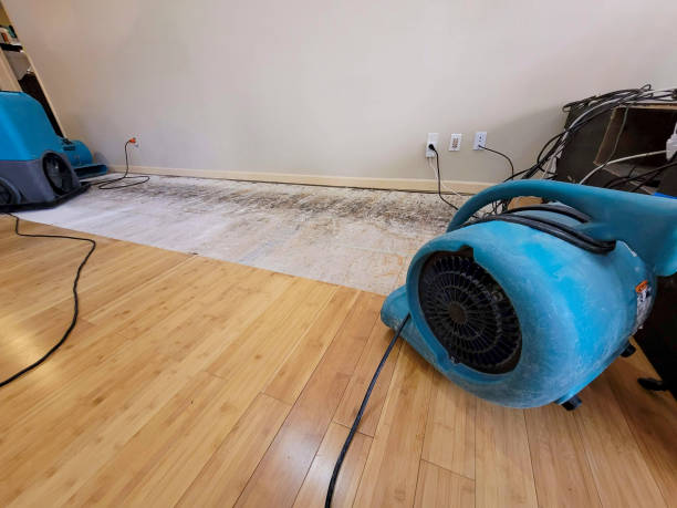Professional Structural Drying technician working in Fairfield, OH